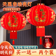 哈駱頓（HALODN）植絨燈籠大門掛的2025新款大紅燈籠室外免接線led燈燈籠新年裝飾 60#不帶燈【適合整排掛】 37cm 【流蘇吊墜，插電-感光隨心選】