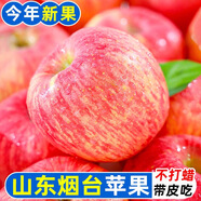 【真貨】正宗山東煙臺紅富士蘋果5斤新鮮水果冰糖心棲霞條紋蘋果R 【帶箱5斤精選裝】 【中果】