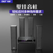 先科（SAST）A-17 專業(yè)會議音柱壁掛式多媒體功放機音響設(shè)備學校廣播商場酒店背景音樂G-100一拖四