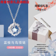 南客S925銀藍桉與鳥(niǎo)月光石項鏈女輕奢小眾鎖骨鏈生日節日禮物送女友 藍桉與鳥(niǎo)項鏈 精美禮盒