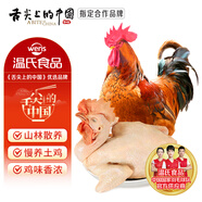 溫氏 供港農(nóng)養(yǎng)大公雞2.4斤 冷凍高品質(zhì)林地大公雞走地雞 雞肉