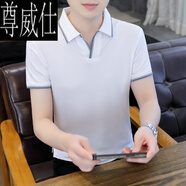 尊威仕（ZUNWEISHI）短袖男士冰絲夏裝T恤帶V領(lǐng)上衣2025新款含桑蠶絲純色Polo衫 白色 PL05 M (95-110斤)