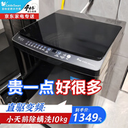 小天鵝（LittleSwan）直驅(qū)變頻洗衣機(jī)全自動(dòng)波輪10公斤大容量家用 噪音小一級(jí)能效省水省電 9小時(shí)預(yù)約除螨洗 以舊換新 10公斤直驅(qū)丨尊享耐臟款丨免清洗
