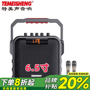 特美聲便攜式戶(hù)外手提廣場(chǎng)舞音箱大音量大功率小型K歌重低音炮家用藍牙音箱晨練二胡電吹管薩克斯樂(lè )器 特美聲SL06-26雙話(huà)筒+遙控器