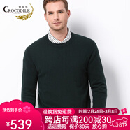 鱷魚(yú)恤男士100%山羊絨針織圓領(lǐng)打底毛衣男基礎(chǔ)款純羊絨衫 軍綠 3XL 190/104A(125c)