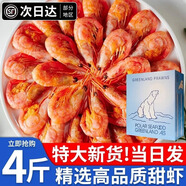 朵芙【頭籽北極蝦】4斤北極甜蝦 熟凍冰蝦元寶蝦腹籽甜蝦生鮮蝦類禮盒 【腹籽禮盒】精選 4斤(凈重)