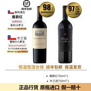 伊拉蘇【智利酒王】 智利18羅漢高分系列 智利原瓶進(jìn)口紅酒干紅葡萄酒 魔爵紅2020年+木蘭迪2020年