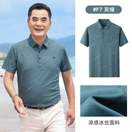 鹿竹新款爸爸夏裝短袖t恤冰絲中年男士POLO衫中老年男裝夏季父親衣服 F7-灰綠 L