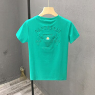 南極人（Nanjiren）小鹿刺繡半袖衫韓版修身型2025夏季新款男士短袖T恤休閑體恤潮牌t G39短袖綠色 M