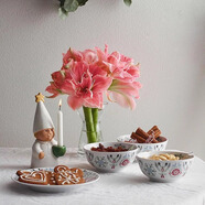 R RORSTRAND格蕾絲冬天系列【瑞典國家館】陶瓷米飯碗家用餐碗 格蕾絲冬天系列-大碗