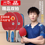 雙魚（DOUBLE FISH）乒乓球拍橫拍雙拍對(duì)拍套裝 4D四星娛樂訓(xùn)練球拍 2只裝附6球