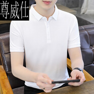 尊威仕（ZUNWEISHI）短袖男士t恤2025新款夏季冰絲白色高端翻領(lǐng)polo衫男裝薄款T 白色 2913 XL 180 (130-140斤)