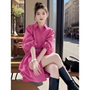 FSHE感玫紅色2025春季新款時(shí)尚氣質(zhì)收腰顯瘦超火百搭襯衫連衣裙女百搭 玫粉色 S