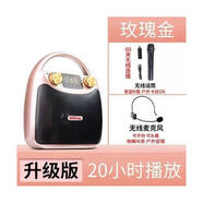 伊菲爾（Eifer）Eifer/伊菲爾B11新款便攜式藍牙音箱廣場舞音響大音量K歌手提戶外 升級版金+無線話筒+FM無線麥 官方標配