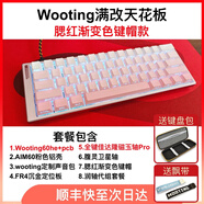 WOOTING60HE+  瓦羅蘭特CSGO 滿改 頂配  腮紅漸變色