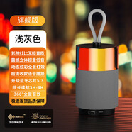 藍悅新款藍牙音箱無(wú)線(xiàn)K歌音箱戶(hù)外便攜帶麥克風(fēng)唱歌RGB發(fā)光小音響 灰色單麥中性英文