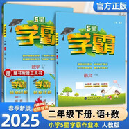 2025春新版 5星學(xué)霸二年級(jí)下冊(cè)語(yǔ)文數(shù)學(xué)人教版RJ 經(jīng)綸五星學(xué)霸2下作業(yè)本天天練專(zhuān)項(xiàng)訓(xùn)練習(xí)冊(cè) 