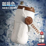 名銳（MINGRUI）水杯男女保溫咖啡杯保冷杯冰霸杯學(xué)生車載刻字定制LOGO畢業(yè)禮物 【316抗菌保冷】咖420ml+2*冰塊