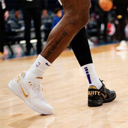 耐克（NIKE）男鞋 Lebron21 勒布朗詹姆斯21代氣墊戰(zhàn)靴實戰(zhàn)訓練緩震運動籃球鞋 FJ1567-103黑白金 鴛鴦 42