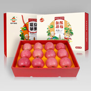 自然搭檔 陜西洛川蘋果紅富士 脆甜蘋果生鮮水果禮盒 精品禮盒凈重7斤大果±0.3斤12枚