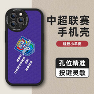 中超聯(lián)賽國安上海海港申花足球隊手機殼小羊皮iphone16蘋(píng)果華為小米17oppo一加iqoo紅米vivo榮耀 天津 津門(mén)虎—小羊皮 華為/榮耀機型拍這里留言備注