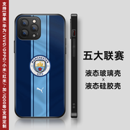 五大聯(lián)賽足球隊手機殼蘋(píng)果13華為oppo榮耀小米vivo液態(tài)硅膠玻璃殼 曼城10【聯(lián)系客服備注機型】 液態(tài)硅膠磨砂軟殼 下單備注型號