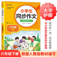 小學(xué)生同步作文 六年級下冊 根據小學(xué)人教版語(yǔ)文教材編寫(xiě) 作文專(zhuān)項訓練 單元作文題詳解 理清寫(xiě)作思路 好詞好句好段素材積累 彩色印刷 大字 寬行距