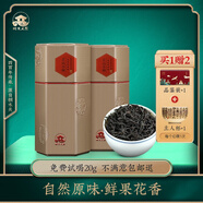 桐木人家正山小種紅茶武夷山特級正宗濃香型花果香茶葉罐裝250g 2  250g