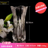弗萊文茨簡約透明玻璃花瓶水培富貴竹百合水養花器插花瓶家用客廳桌面擺件 百財花瓶30cm（透明）