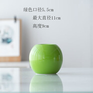迷.妝北歐陶瓷花瓶簡約現(xiàn)代家居裝飾品客廳餐廳花藝擺件水培花器花插瓶 圓球花瓶：綠色