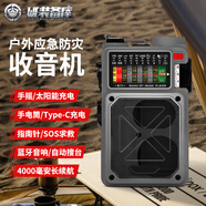 唯阿（WE）手搖發(fā)電收音機(jī)照明手電筒太陽能應(yīng)急多功能藍(lán)牙音響防災(zāi)戰(zhàn)備物資 拾光者-奶灰【送8G內(nèi)存卡】