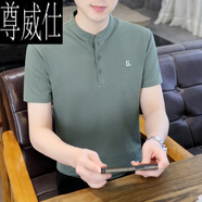 尊威仕（ZUNWEISHI）短袖男士2025新款立領t恤夏季潮流高端純色體恤男冰絲薄款T 綠色 9327 XL