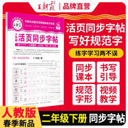 2025春活頁同步字帖二年級語文下冊人教版 小學同步練字帖專項訓練控筆訓練寫字能手寫字課課練看拼音寫生字 學生規(guī)范練字帖 王朝霞