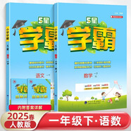 2025春新版 5星學霸一年級下冊語文數學人教版RJ 經綸五星學霸1下作業(yè)本天天練專項訓練習冊 