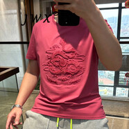 JWX香港潮牌本命年絲光純棉T恤男 2025夏季新款刺繡休閑大碼修身短袖 玫粉色 火焰龍T恤 3XL (160-175斤)