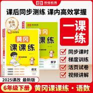 2025春[人教版]黃岡課課練六年級下冊語文數(shù)學(xué)同步課本訓(xùn)練題隨堂練習(xí)一課一練小學(xué)練習(xí)冊小狀元作業(yè)本試卷