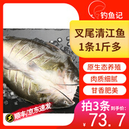 釣魚(yú)記斑點(diǎn)叉尾鮰魚(yú)1斤-1.3斤/條 二去開(kāi)背 清江團(tuán) 烤魚(yú)紅燒 生鮮 魚(yú)類(lèi) 叉尾鮰魚(yú)1斤多*1條(烤魚(yú)專(zhuān)用)
