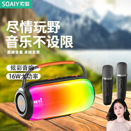 索愛SD-65藍(lán)牙家用K歌音箱2025新款戶外大功率便攜家庭唱歌炫彩收音聲卡手機(jī)電腦通用廣場舞音響 黑色雙麥版（輕松便攜/16W大音量）
