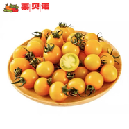 京地達(dá)山東陽(yáng)光小番茄黃色柿子凈重4.5斤 新鮮現(xiàn)摘水果自然成熟源頭直發(fā)