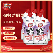 WHITE KING潔白王 潔廁劑 廁所清潔劑 99.99%除菌抑菌 廁所除臭神器 700ml 薰衣草香 700ml 5瓶 【除菌99.99%】