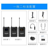 麥拉達（mailada）領(lǐng)夾麥克風(fēng)WM8X手機電腦單反相機領(lǐng)夾式麥克風(fēng)無(wú)線(xiàn)降噪小蜜蜂話(huà)筒直播 麥拉達WM8S麥克風(fēng)一拖二