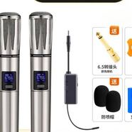 夏新家庭ktv音響充電無(wú)線(xiàn)麥克風(fēng)家庭KTV唱歌舞臺(tái)主持演講K歌會(huì)議音箱音響功放調(diào)頻萬(wàn)能一拖二無(wú)線(xiàn)話(huà)筒 S10金屬雙麥（可充電+調(diào)頻）