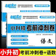 小升初真題卷2025人教版北師大版六年級(jí)下冊(cè)試卷語(yǔ)文數(shù)學(xué)英語(yǔ)考前沖刺試卷全套通用版小學(xué)6年級(jí)下冊(cè)小升初總復(fù)習(xí)必刷題專項(xiàng)訓(xùn)練練習(xí)冊(cè)分班模擬考試暑假銜接作業(yè) 兩本考前沖刺卷：語(yǔ)文+數(shù)學(xué) 小升初