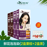 韓愢天然植物鮮花泡泡染發(fā)膏王姬代言黑色純韓思生態(tài)3d艾尚彩染發(fā)焗油 2盒黑+2盒栗棕D602（送護(hù)發(fā)素）