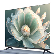 海信（Hisense）55寸超清液晶顯示器32 39 46 50 60 65 家用智能無(wú)線(xiàn)網(wǎng)絡(luò )顯示器 100英寸 官方標配
