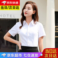 佐馬仕短袖襯衫女夏季純白免燙抗皺襯衫職業(yè)裝冰絲修身商務正裝襯衣女 DV2655V領純白色 2XL /38（115-125斤）
