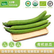 有機(jī)匯有機(jī)絲瓜 山東絲瓜時(shí)令有機(jī)蔬菜寶寶輔食 有機(jī)種植無(wú)農(nóng)殘 當(dāng)天摘 500g(長(zhǎng)絲瓜)