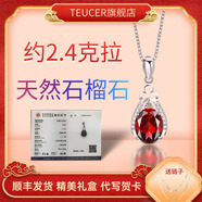 TEUCER925銀石榴石項(xiàng)鏈女吊墜水晶鎖骨鏈?zhǔn)罪椘范Y物生日禮物送女友母親 一生所愛石榴石吊墜+精美禮盒
