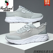 西域駱駝男鞋夏季2025新款網(wǎng)面透氣輕便軟底休閑運(yùn)動鞋純黑色跑步春秋潮鞋 淺灰-駱駝官方品牌官網(wǎng)旗艦 39