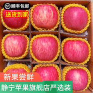 靜寧蘋果 【順豐到家】甘肅紅富士蘋果水果 新鮮應(yīng)季靜寧蘋果 22-24枚70凈重8.5斤寶寶果嚴(yán)選裝